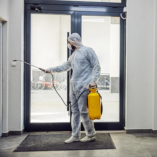 Illustration of Pest control for buildings and private properties