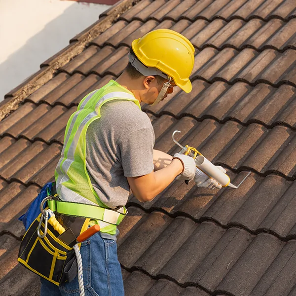 Illustration of Roof inspection and maintenance