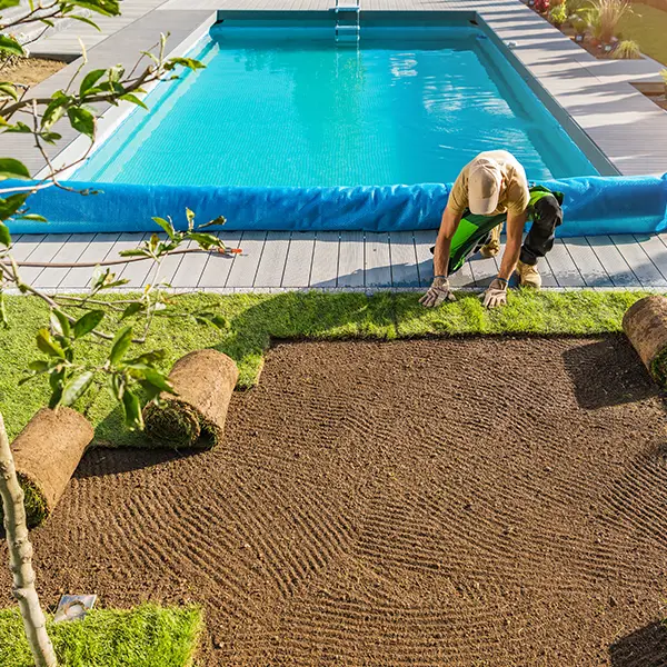 Illustration of Garden and pool care for private villas